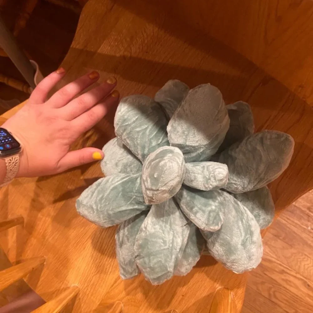 Sage Green Succulent Plant Pillow